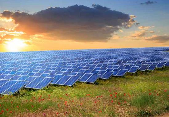 Tongwei: Empowering Growth Through Solar Solutions